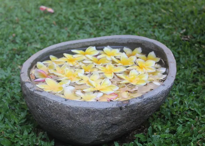 Odah Ayu Ubud